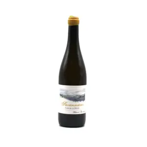 Anjou Blanc Thibaud Boudignon 2024 75cl Anjou Blanc Thibaud Boudignon 2024 75cl