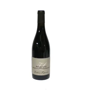 Bourgogne Hautes Côtes de Beaune Frédéric Leprince 2022 75cl Bourgogne Hautes Côtes de Beaune Frédéric Leprince 2022 75cl